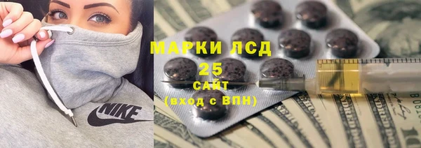 spice Горняк