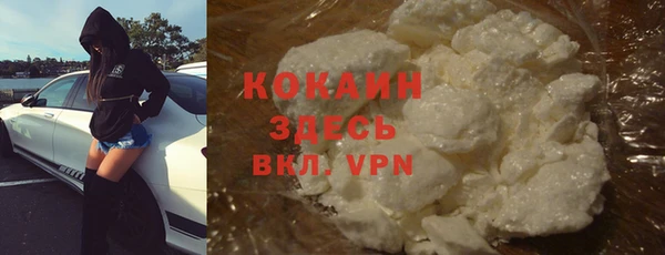 дмт Горно-Алтайск