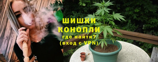spice Горняк