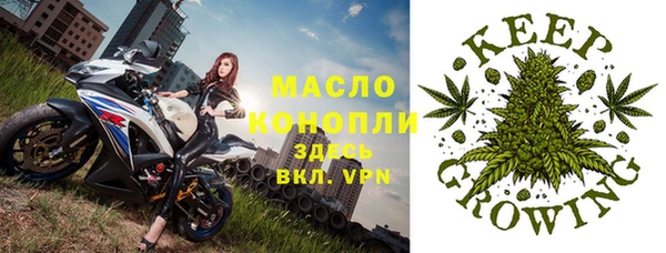 spice Горняк