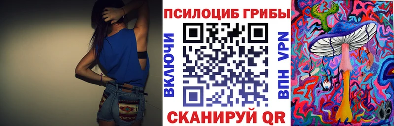 Галлюциногенные грибы MAGIC MUSHROOMS  как найти закладки  Камышин 